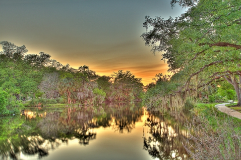 Bayou Sunset by Alan Zakem | This image was created using multiple exposure photography. It is available as a pigment based prin Bayou Sunset